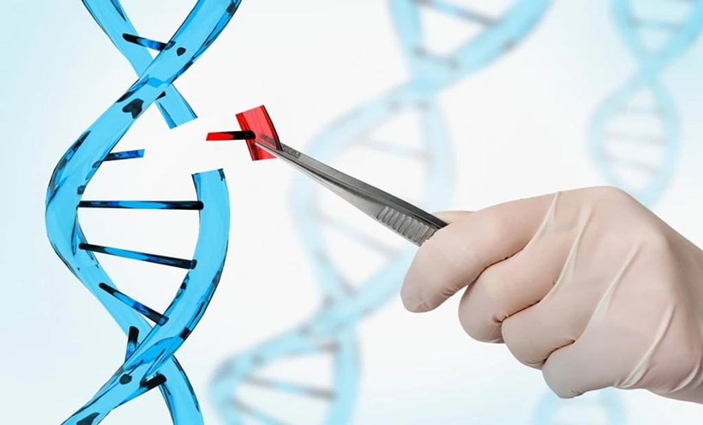 Epigenetic Silencing Undermines Longevity of AAV Gene Therapy