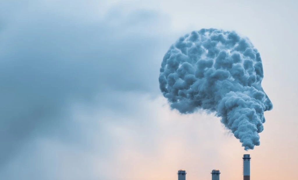 Low Air Pollution Still Harms Brain Health, Canadian Study Finds