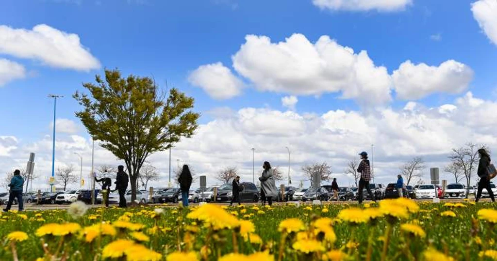 Climate Change Intensifies Allergy Seasons Across Canada, Experts Warn