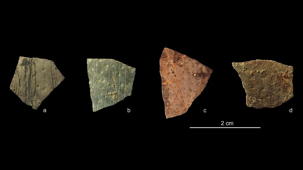 60,000-Year-Old Engravings Reveal Ancient Geometry
