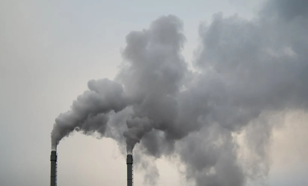 Air Pollution Linked to Alopecia Areata Risk