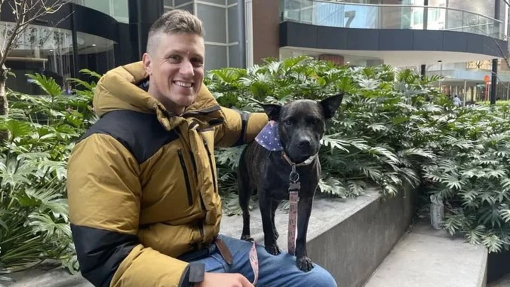 Australian Man Uses AI to Treat Dog’s Cancer