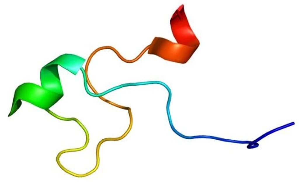- Figure 1 - 