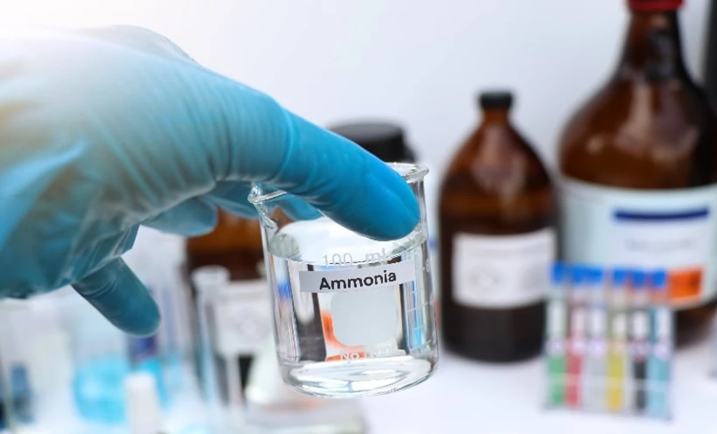 Ammonia Buildup Accelerates Liver Cancer Growth in Mice