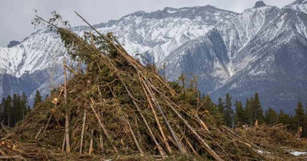 Alberta Mountain Towns Proactively Battle Wildfire Threats