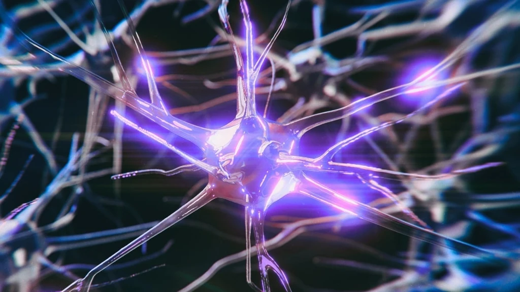 Alzheimer's Gene APOE4 Disrupts Brain Activity Years Before Symptoms Appear