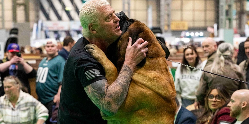 Pro Wrestler Dustin Rhodes' Mastiff 'Beast' Earns Top Honors at World's Largest Dog Show