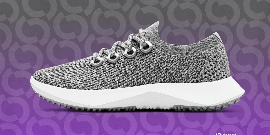 Allbirds Completes AI Pivot, Rebrands as Smartbird Under New CEO