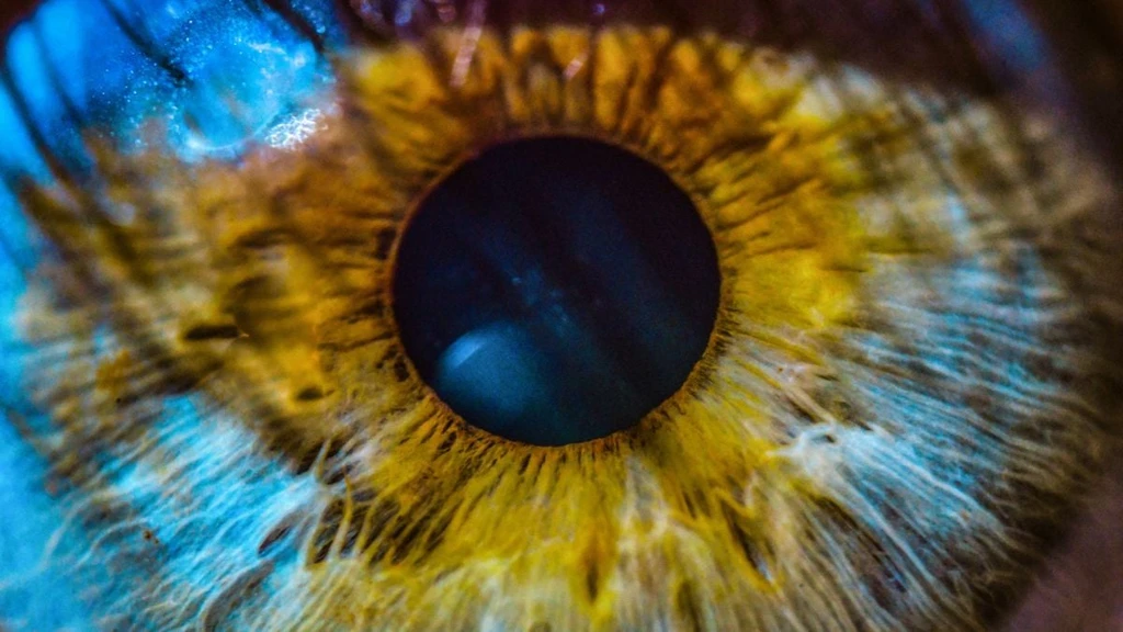 Retinal Imaging AI Detects Early Alzheimer’s Risk Factors Years Before Diagnosis