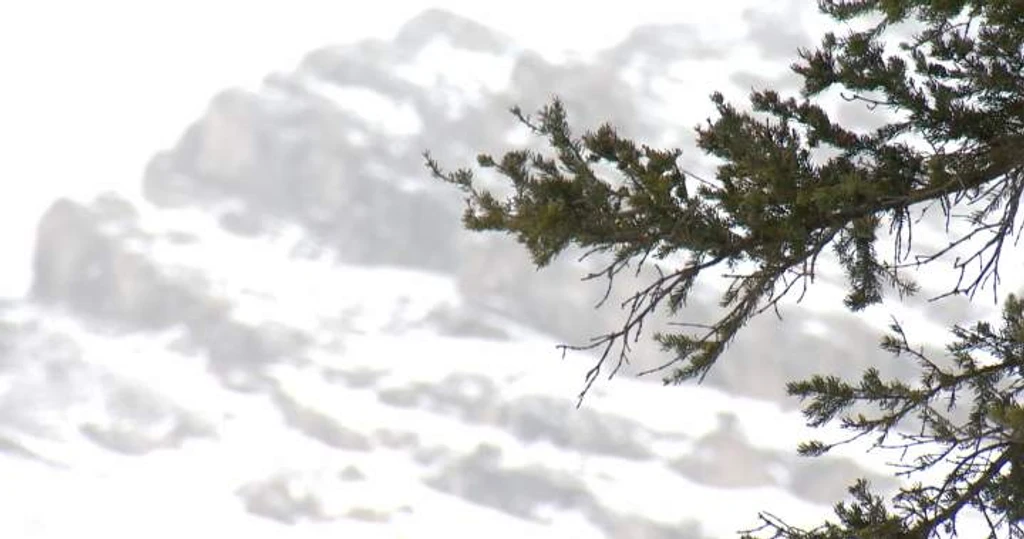 Two Skiers Trapped in Alberta Avalanche; One Unresponsive