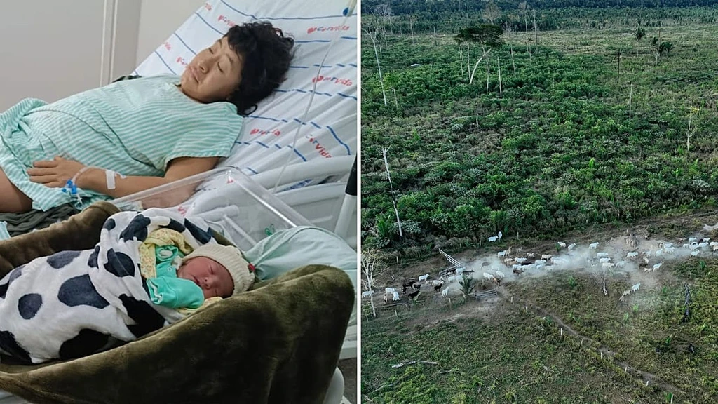 Amazon Tribe's Future Secured: Unexpected Birth Offers Hope for Akuntsu Survival