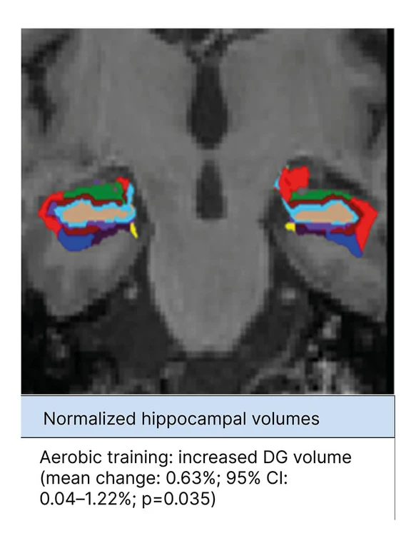 - Figure 1 - 