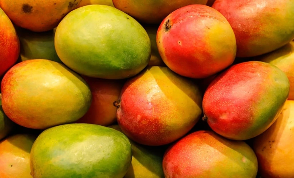 Daily Avocado and Mango Intake Boosts Vascular Function in Prediabetes Patients