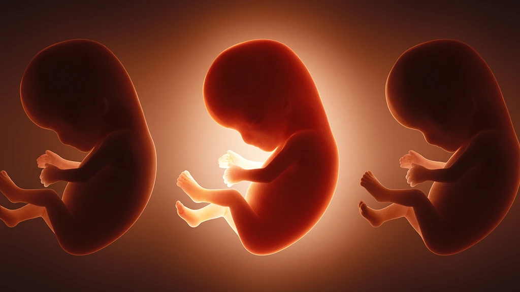 Babies Exposed to 42 'Forever Chemicals' Before Birth, New Study Reveals