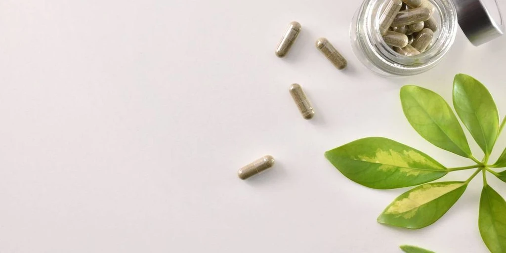 Black Cohosh: Promising Menopause Relief or Risk?