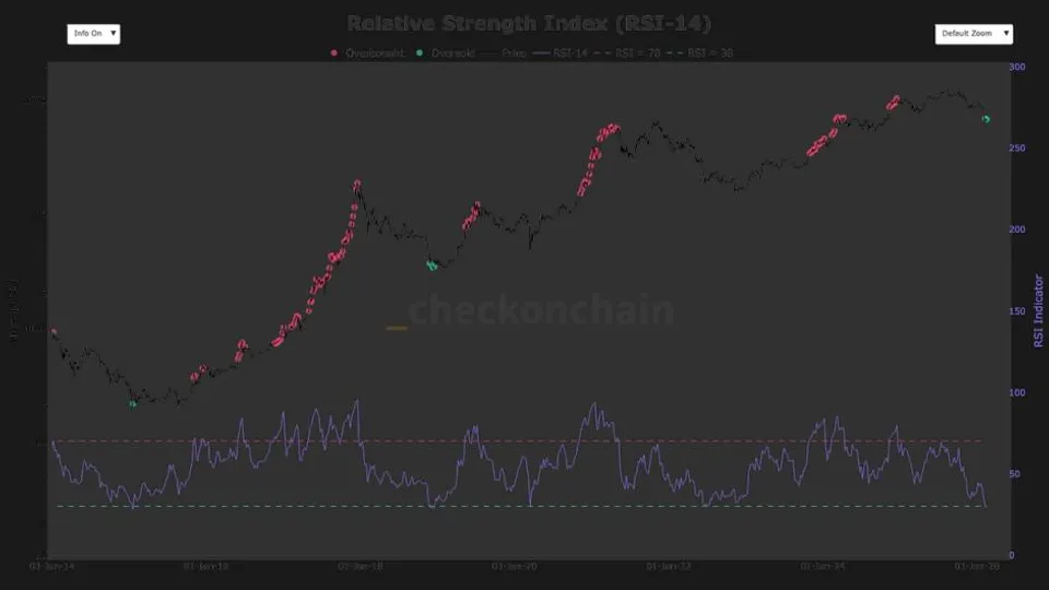 Bitcoin's Oversold RSI Crash: A Signal for Slowed Ascent