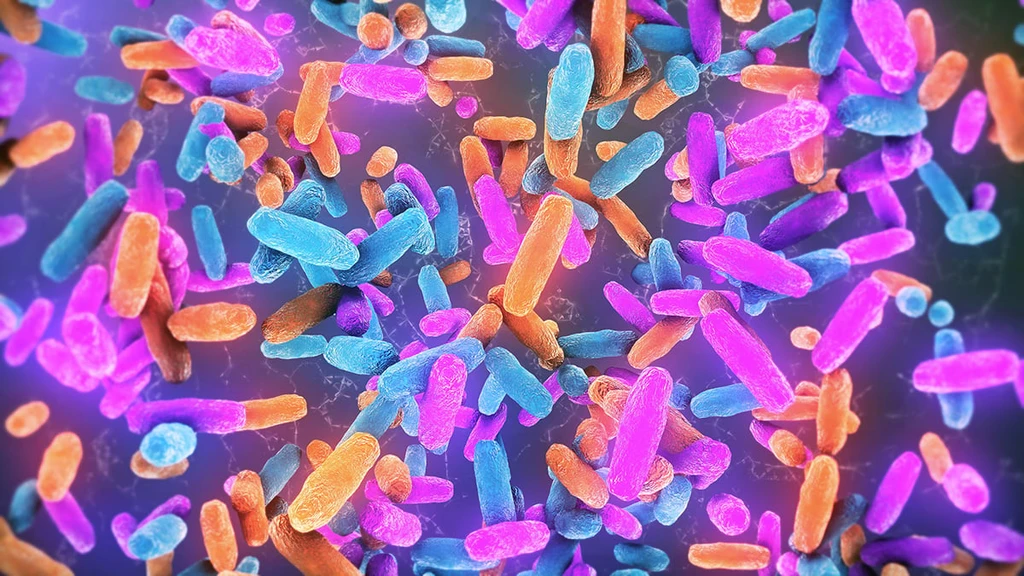 Gut Bacteria Glycogen Linked to Neurodegenerative Diseases ALS and FTD