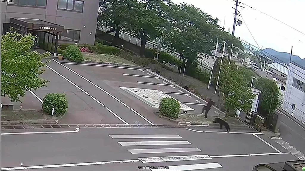 Bear Attack in Japan Wounds Four, Renewing Safety Fears