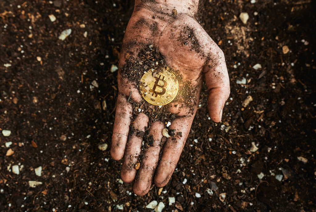Bitcoin MVRV Z-Score Signals Further Downside Before Bottom