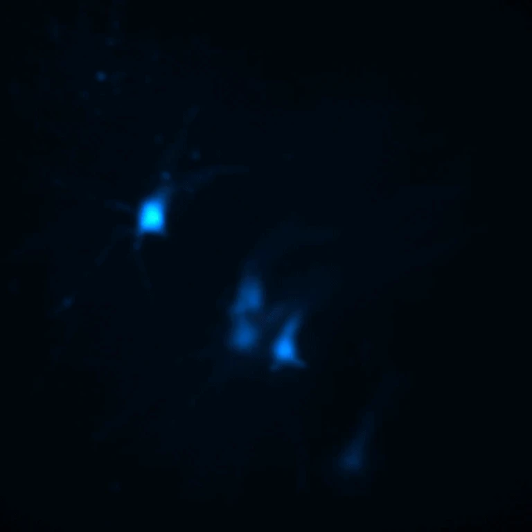 - Figure 2 - 