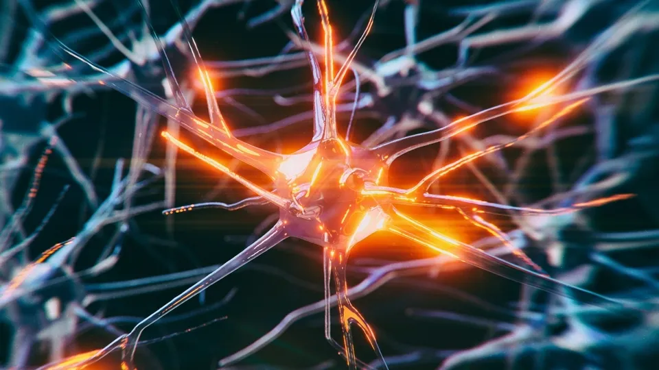 Scientists Uncover Brain's Defense Against Dementia