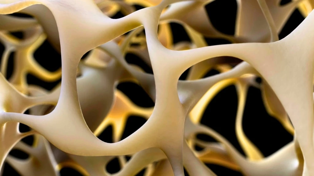Researchers Identify Critical Receptor That Could Reverse Osteoporosis