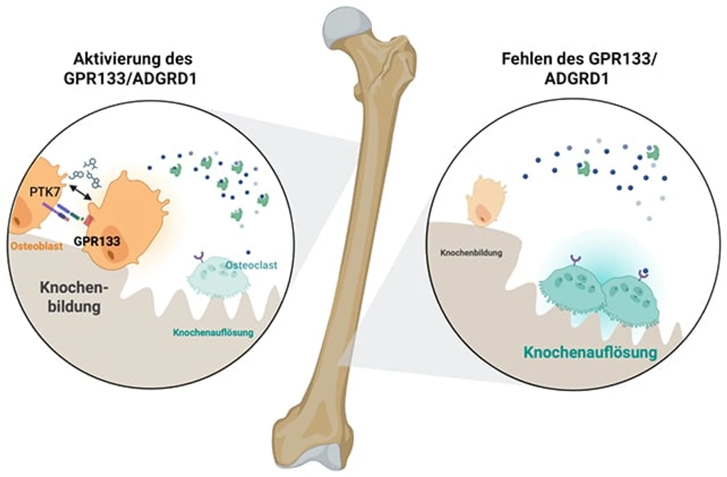 - Figure 1 -
