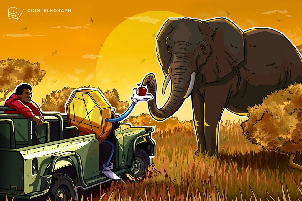 Crypto Philanthropy Fails to Deliver Lasting Impact in Africa