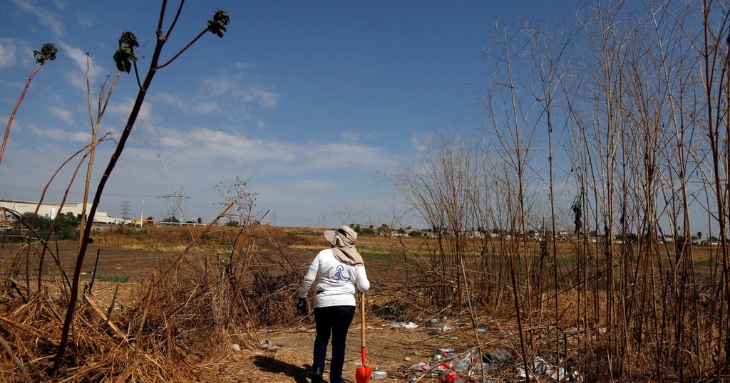 Hidden Graves Uncovered in Mexico: At Least 11 Bodies Found