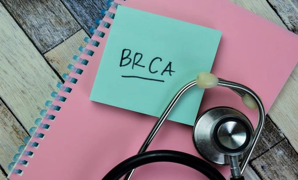 BRCA1 Study Links Estrogen to DNA Damage and Cancer Risk