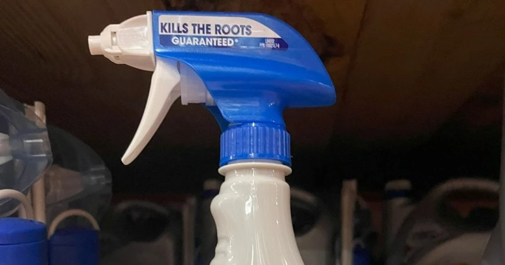 Bayer Shares Surge 20% After Supreme Court Blocks Roundup Cancer Lawsuits