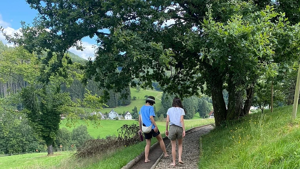Germany's Barefoot Trails Offer Immersive Nature Experience