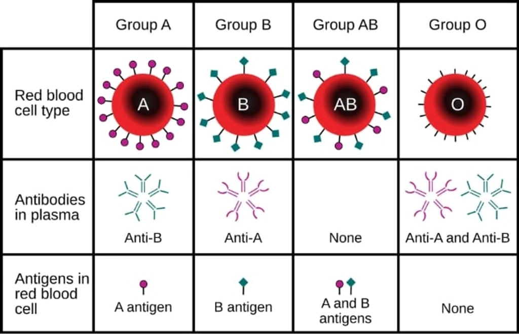 - Figure 2 - 