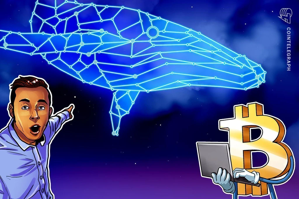 Bitcoin Whales Move Millions as Iran Conflict Spikes Oil Prices