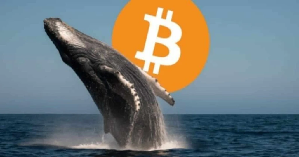 Bitcoin's $72K Rally Faces $80 Million Whale Short Bet
