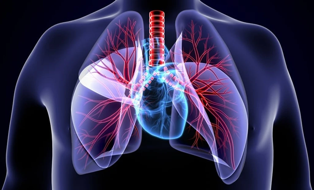 Fitness Boosts COVID-19 Hospitalization Defense, Study Finds