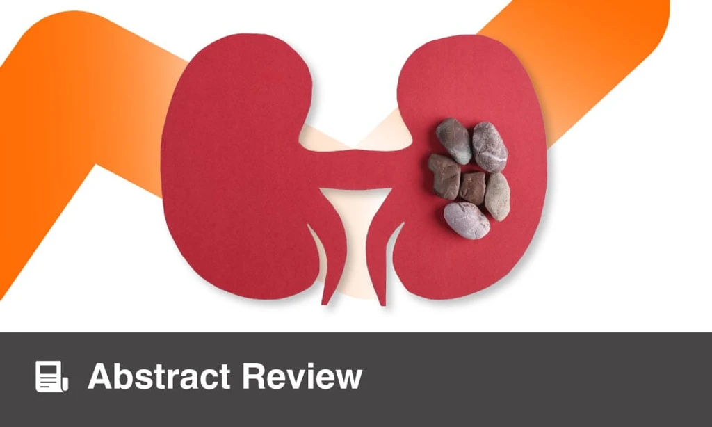 AI vs. Manual Methods: Measuring Kidney Stone Volumes Accurately