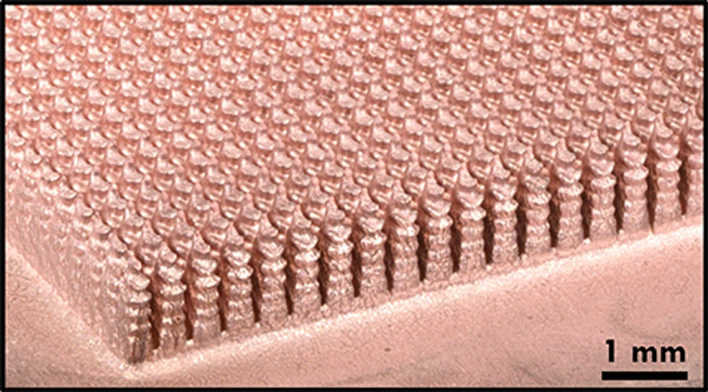 - Figure 1 -