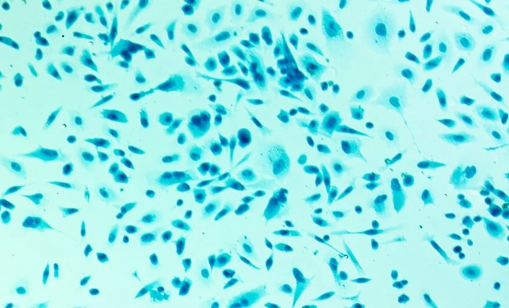 Enhancing Prostate Cancer Detection with Circulating Tumor Cells