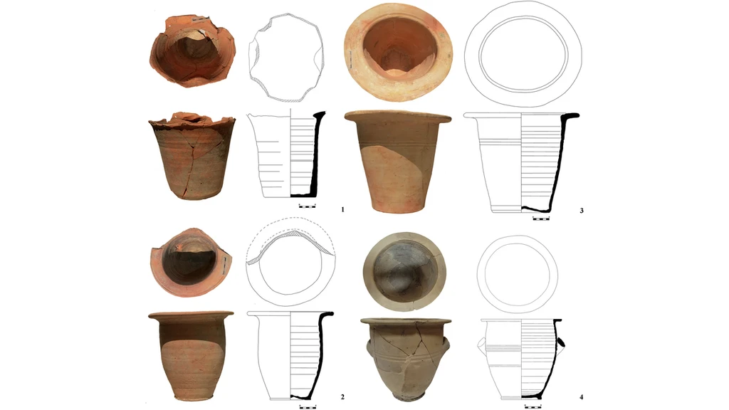 Roman Chamber Pots Reveal Oldest Evidence of Crypto Parasite in Humans