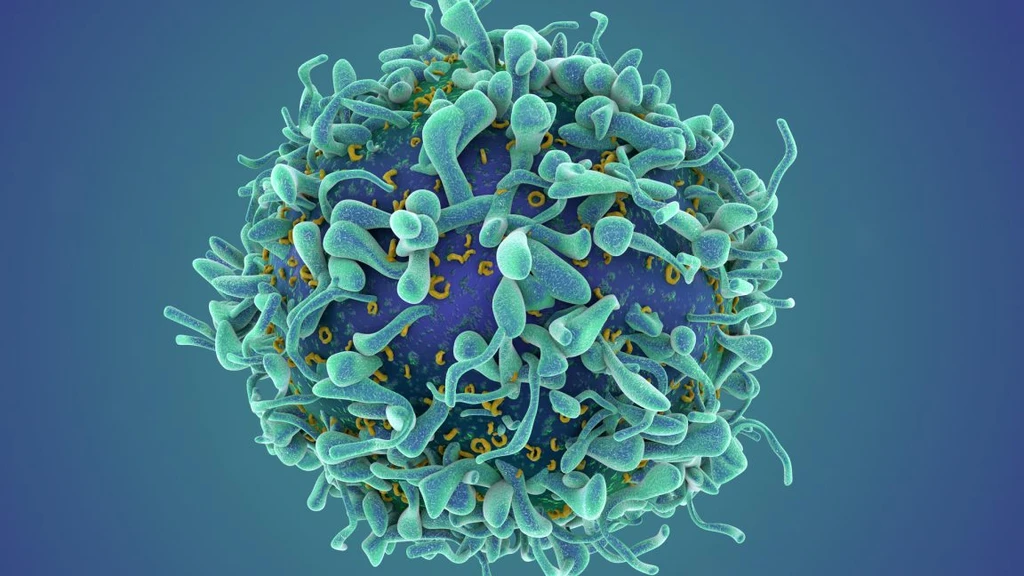 Revolutionary Cancer Treatment Shows Promise for Autoimmune Disease