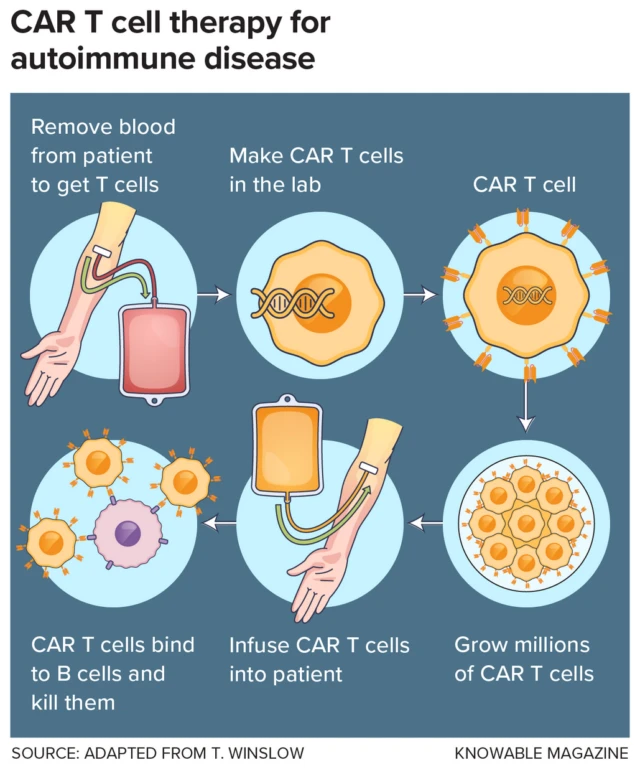 - Figure 1 - 