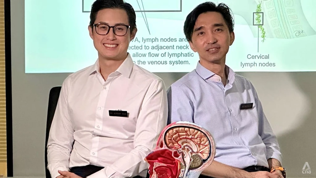 Singapore Trial Tests Surgery for Alzheimer's Treatment