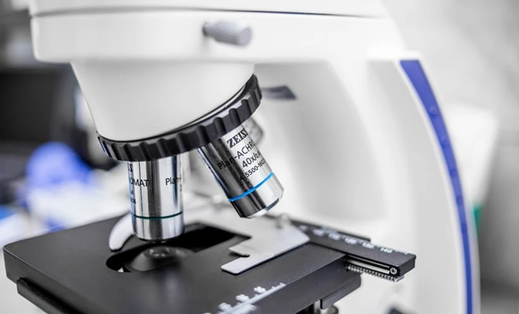 Novel Brain Cancer Therapy Achieves Complete Tumour Regression in Preclinical Model