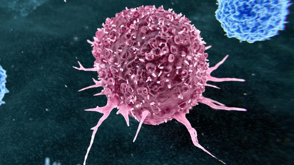 WHO Study: Nearly Half of Preventable Cancers Tied to Smoking and Alcohol