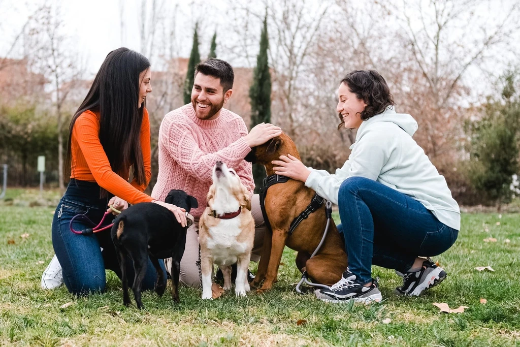 Doctors May Soon Prescribe Dogs for Better Health