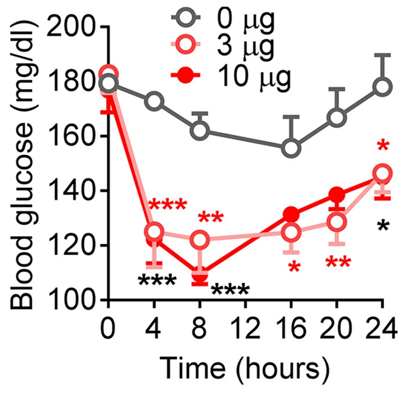 - Figure 2 - 