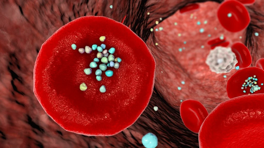 Microplastics in the Body: Panic or Precaution?
