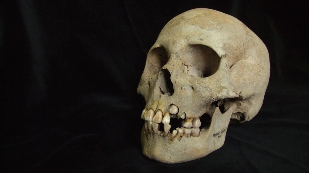 Ancient DNA Reveals Lethal Plague Outbreaks in Siberia 5,500 Years Ago
