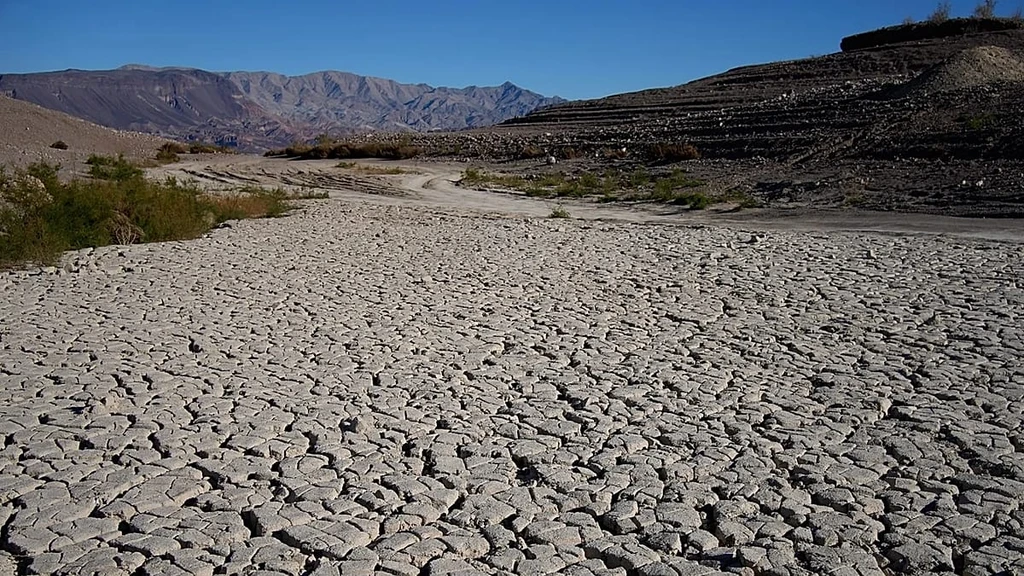 Drought Linked to Rising Antibiotic Resistance, Study Shows